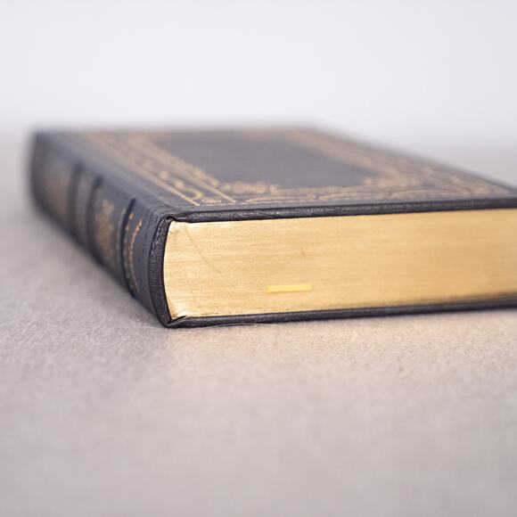 A System of Penal Law for the State of Louisiana Legal Classics Library Leather - Picture 9 of 13